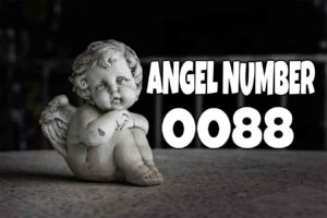 Angel Number 0088 Meaning & Symbolism
