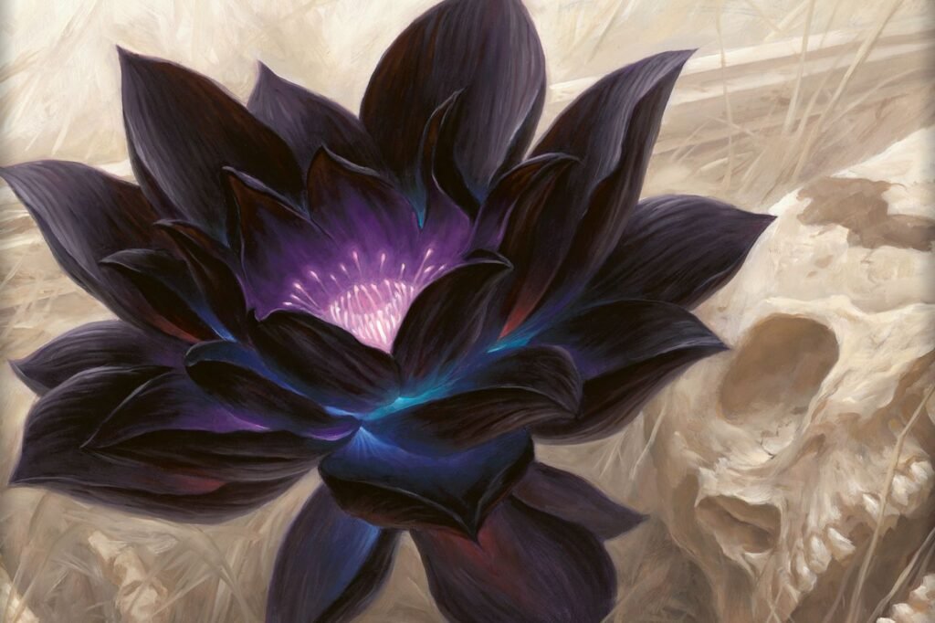 Black Lotus